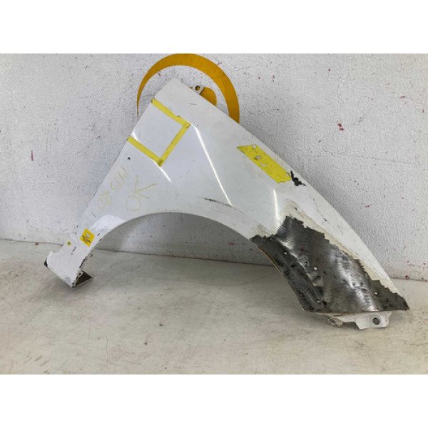 Paralama Hyundai Hb20 2013 2014 2015 2016 2017 2018 2019 L.d