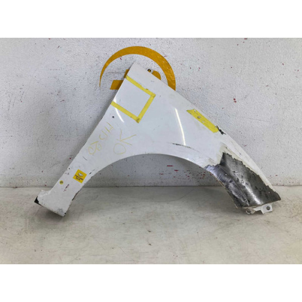 Paralama Hyundai Hb20 2013 2014 2015 2016 2017 2018 2019 L.d