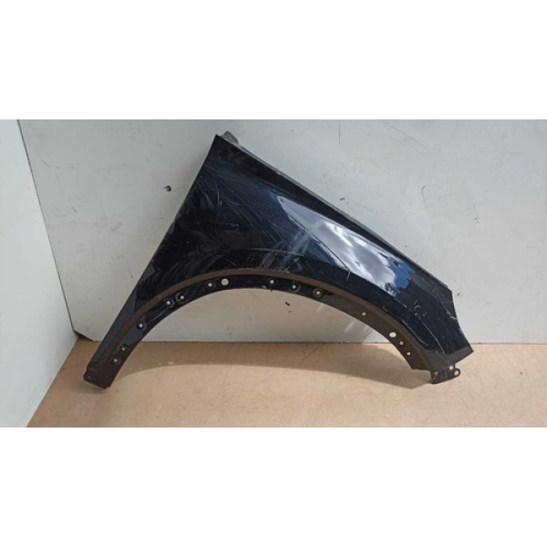 Paralama Direito Byd Song Plus 2023 2024 2025 (usado)