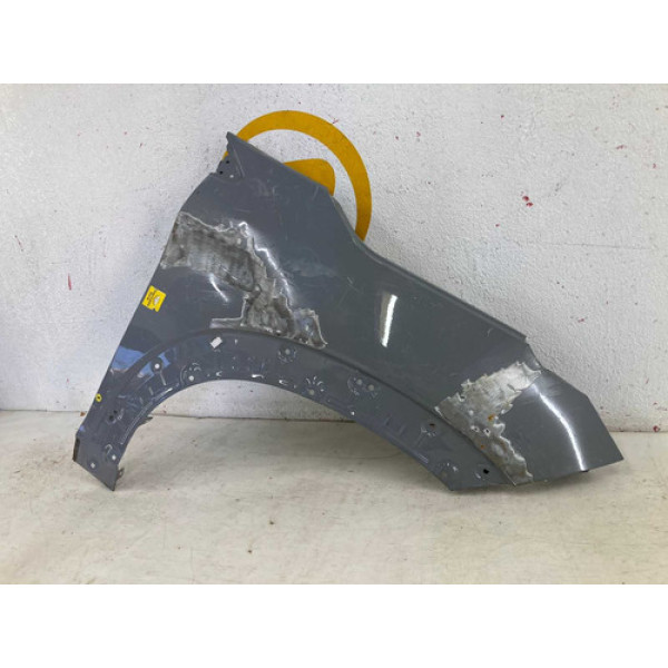 Paralama Fiat Pulse 2022 2023 2024 L.d Original