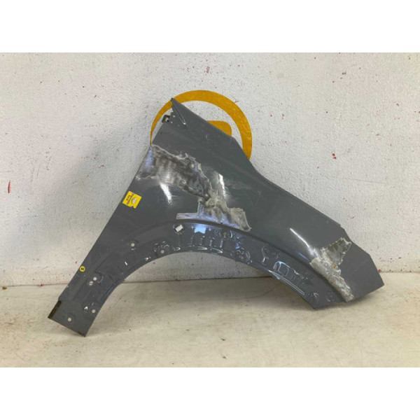 Paralama Fiat Pulse 2022 2023 2024 L.d Original