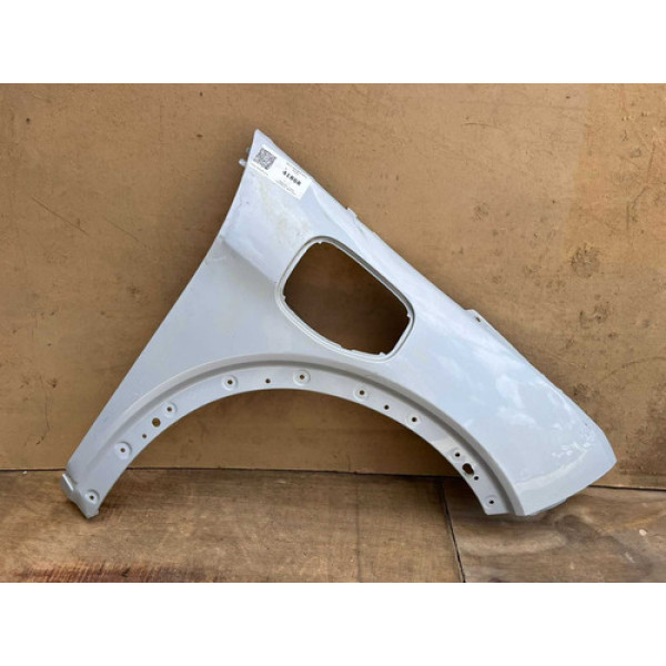 Paralama Byd Dolphin 2024 2025 2026 L.d Original