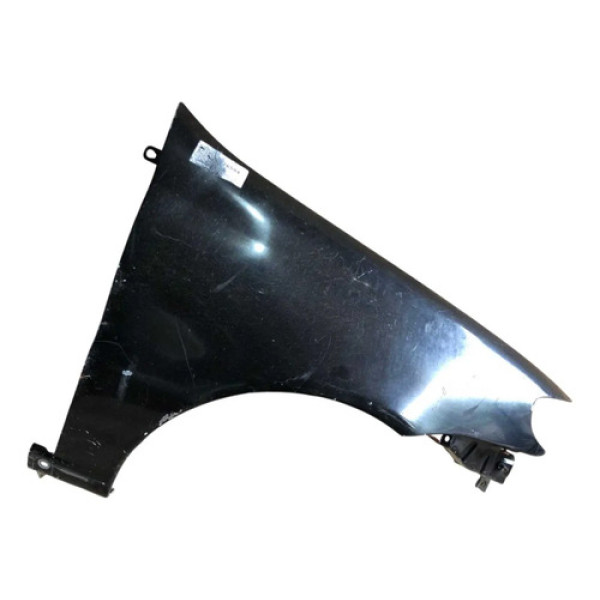 Paralama Fiat Palio Sapão 2005 2006 2007 A 2016 L.d Original